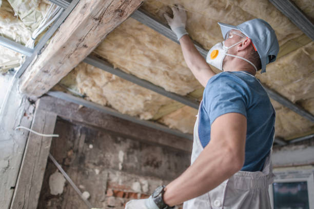 Best Wall Insulation Contractor  in USA